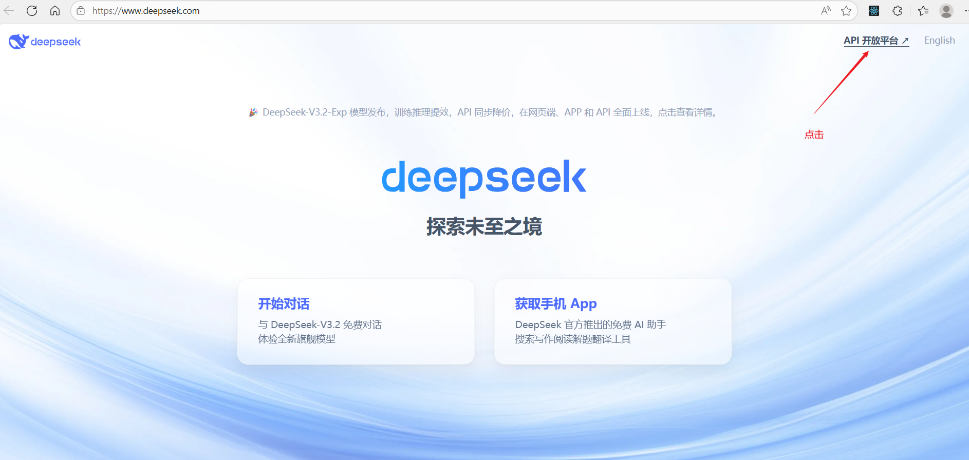 deepSeek API Key