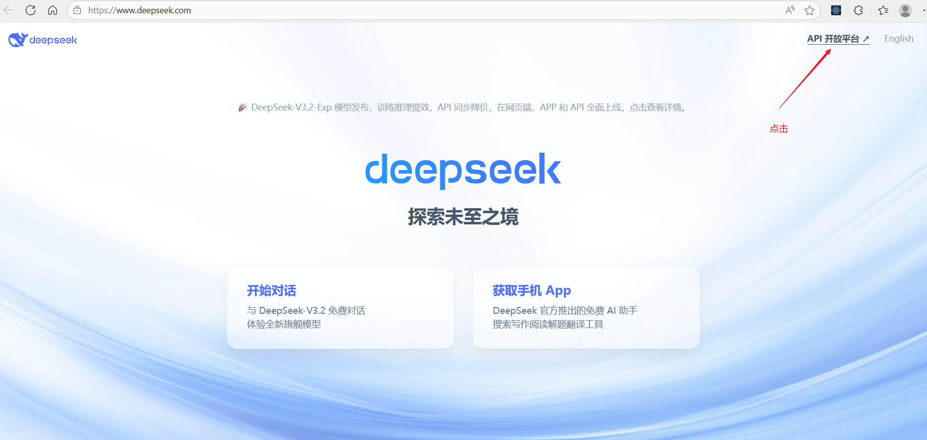 deepSeek API Key